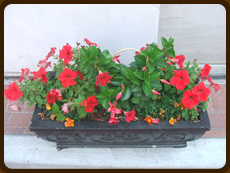Planter